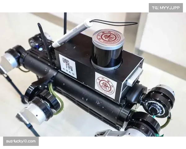 无障碍设施改造全面完成 导盲六足机器人服务视障运动员